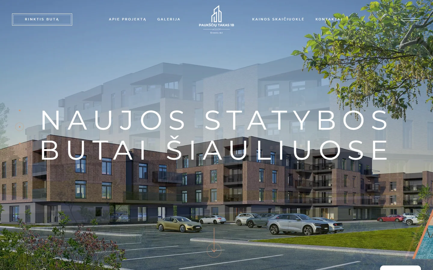 Paukščių takas 1B — svetainės pradžios puslapis